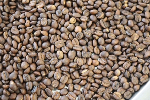 Berlin: DIY Coffee Roasting Workshop