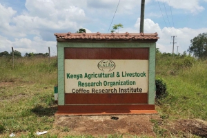 Berlin: DIY Coffee Roasting Workshop