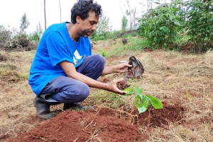 Berlin: DIY Coffee Roasting Workshop