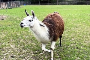 Berlin: (E)-Bike & Boat: Der größte See und die größte Lagune der Stadt