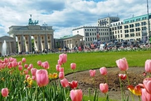 Berlin (E)Bike Tour Historical Highlights in Small groups