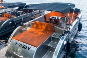 Berlin: Electric Boat Rental for self-driving
