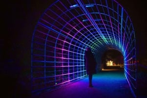 Berlin: Entry Ticket to Christmas at Tierpark