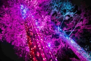 Berlin: Entry Ticket to Christmas at Tierpark