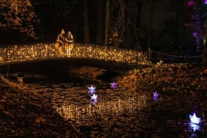 Berlin: Entry Ticket to Christmas at Tierpark