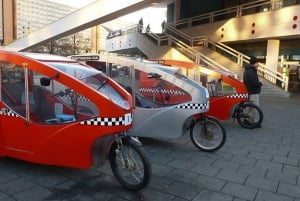 Berlino Express: Giro privato in E-Rickshaw di 1 ora