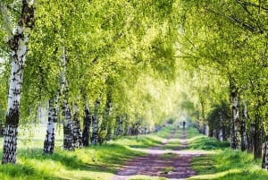 Berlin: Photo course Landschafts- & Naturfotografie