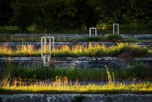 Berlin: Photo course Landschafts- & Naturfotografie