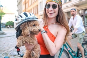 Berlin: Guidad cykeltur för skolklasser