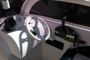 Berlín:Recorrido guiado en yate por el sur de Berlín con parada para nadar (relax)