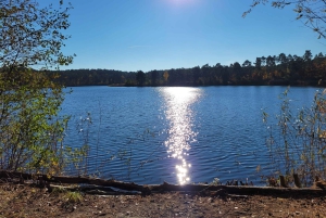 Berlin: Guidet sydberlinsk yacht-tur med svømmestop (slap af)