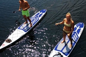 Berlin: Havel River SUP Course for Beginners