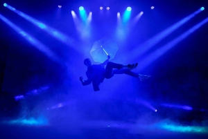 Berlin: Highlight Show 'FLYING LIGHTS' - Variety Show