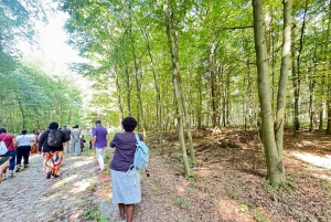 Berlijn: historische tour langs het pad van de dodenmars met auto