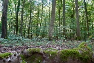 Berlijn: historische tour langs het pad van de dodenmars met auto