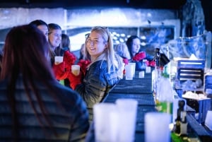 Berlin: Hop-On Hop-Off Bus and Icebar Ticket Combo