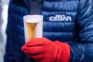 Berlin: Hop-On Hop-Off Bus and Icebar Ticket Combo