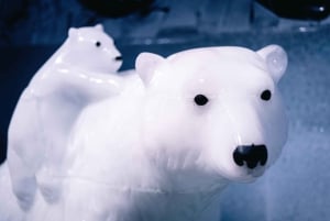 Berlin: Hop-On Hop-Off Bus and Icebar Ticket Combo