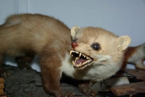 Berlin: Interactive Sherlock Holmes Live Escape Theater