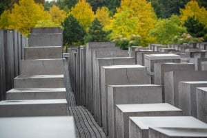 Excursão a pé privada pelo Bairro Judeu de Berlim e Holocausto
