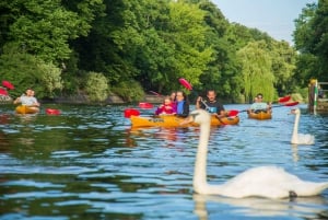 Berlin : Excursion en kayak à travers Berlin-Est