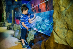 Berlin: LEGOLAND Discovery Centre and SEA LIFE Combo Ticket