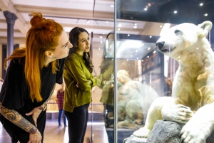 Berlin: Inträdesbiljett till Naturhistoriska museet