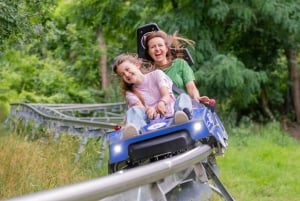 Berlin: Nature Bobsled Run Ticket