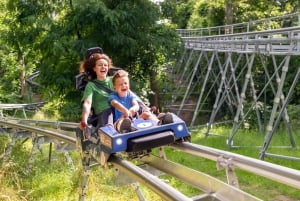 Berlin: Nature Bobsled Run Ticket