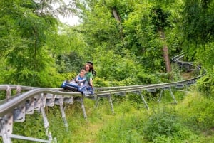 Berlin: Nature Bobsled Run Ticket