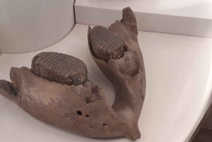 ベルリン：ノイケルン ウォーキング ツアー