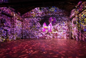 Berlin : Billet d'entrée pour l'exposition « ORIGINS - Life's Epic Journey »