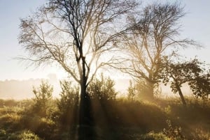 Berlim: Curso de fotografia Landschafts- & Naturfotografie