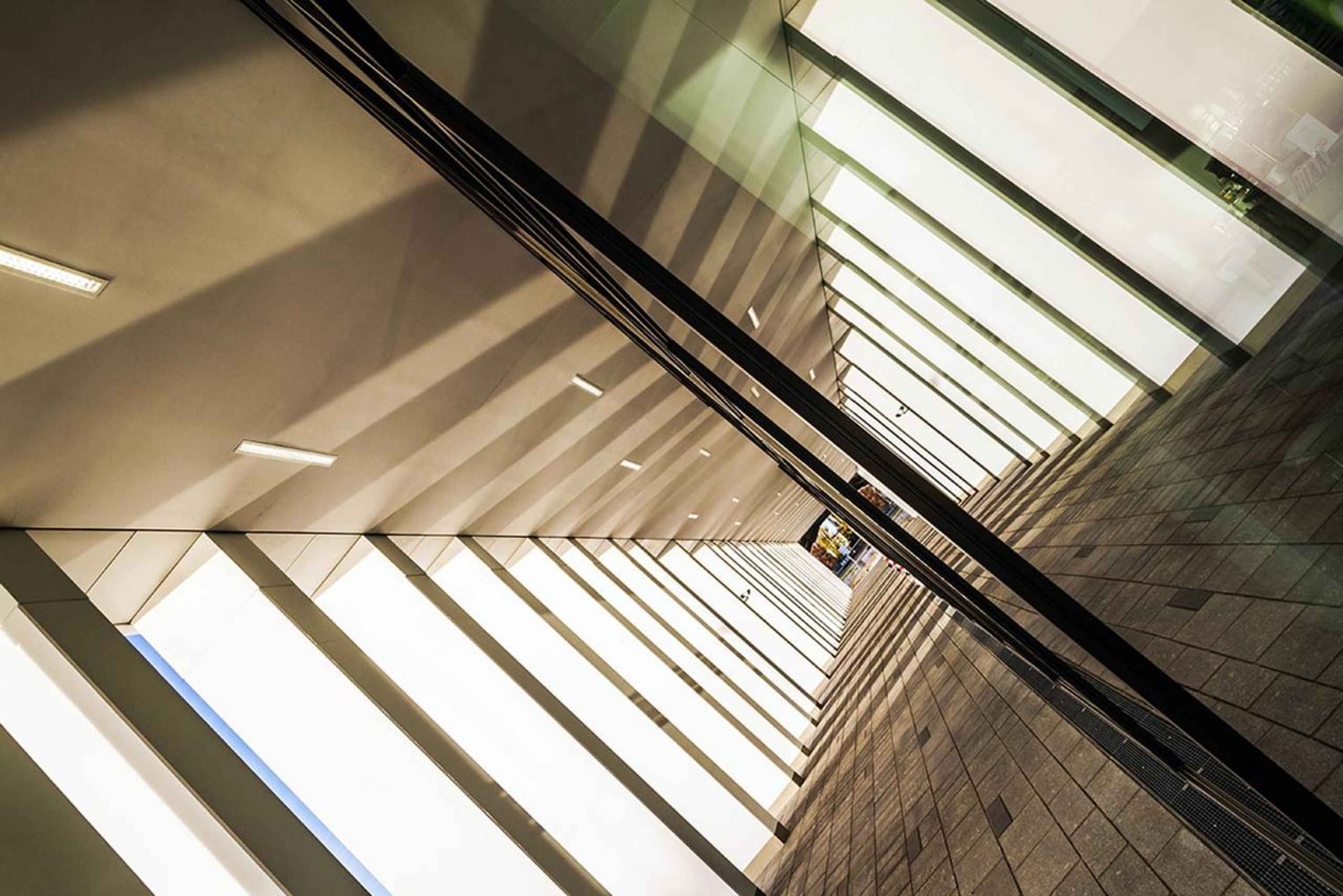 Berlin: Fotokurs Moderne Architektur & Spiegelungen