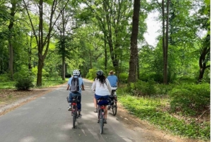 Berlin: Private Bike Tour of Iconic Sights & Local Secrets