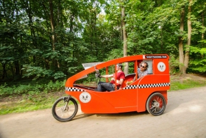 Berliini: Yksityinen E-Rickshaw-kierros hotellin noutopalvelun kanssa
