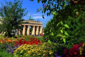 Berlin: Private Third Reich Sites Tour by Car or Foot