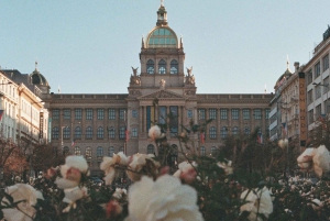 Berlin: privat transport til Praha eller fra Praha til Berlin