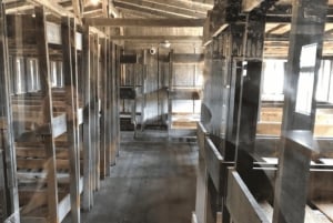 Berlin: Obóz koncentracyjny Sachsenhausen - wycieczka z przewodnikiem