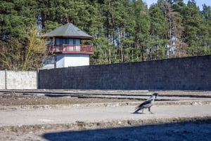 From Berlin: Sachsenhausen Concentration Camp Museum Tour