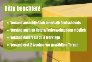 Berlin: Scavenger Hunt through Friedrichshain