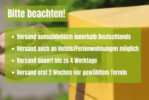 Berlin: Self-Guided Family and School Class Scavenger Hunt