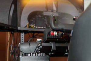 Berlin: Simulated Flight Over Berlin