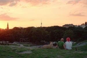 Berlin: Streetart og alternativ tur
