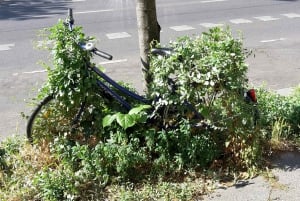 Berlin: Street Art and Alternative Tour