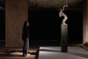 Berlin: The Feuerle Collection Guided Tour and Entry Ticket