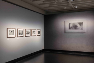 Berlin: Ticket for Photography Exhibitions at C/O Berlin