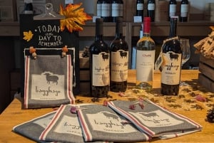 Berlin: Wine Tasting Session with Paired Snacks