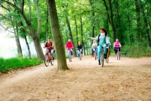 Lo mejor de Berlín: Visita guiada en bicicleta