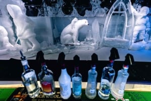 Stadtrundfahrt Berlin: HOHO-Bus – alle Linien & Icebar